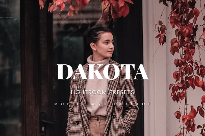 Dakota Lightroom Presets Dekstop and Mobile