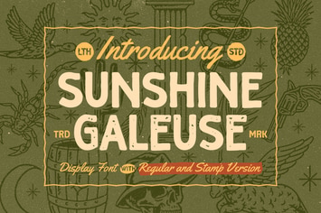 Sunshine Galeuse 