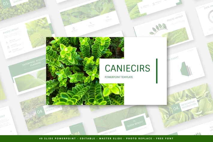 CANIECIRS PRESENTATION