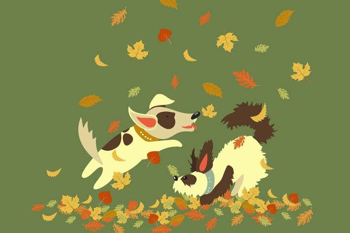 Funny dogs playing with autumn leaves. Vector 