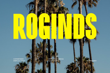 Roginds - Modern Bold Fonts