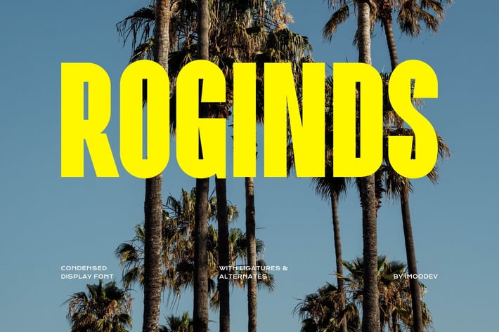 Roginds - Modern Bold Fonts