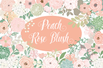 Vector Peach rose blush flower elements