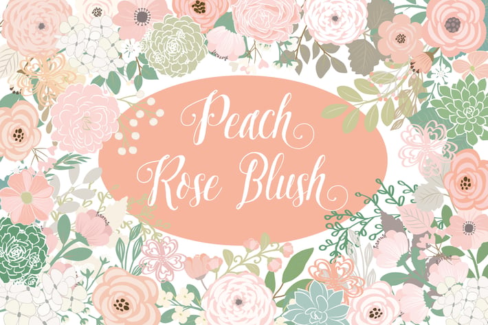 Vector Peach rose blush flower elements