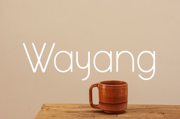 Thin Simple Sans Serif Font