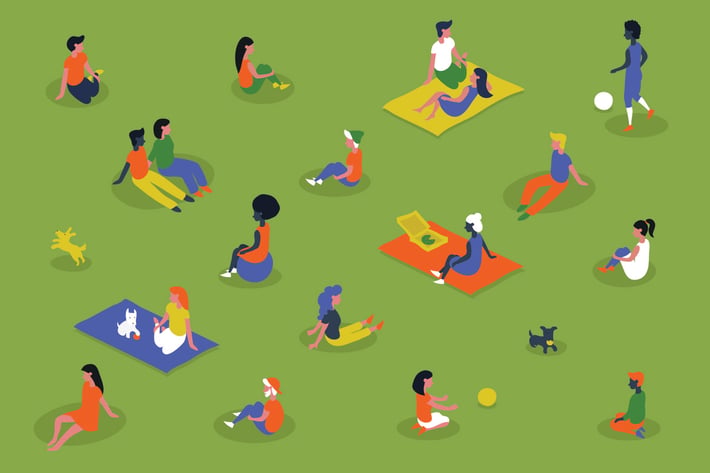 Distanced Picnic
