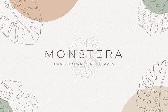 Monstera Hand-Drawn Art Plant