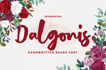 Dalgonis Brush