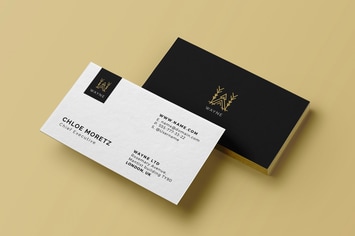 Corporate business card + logo