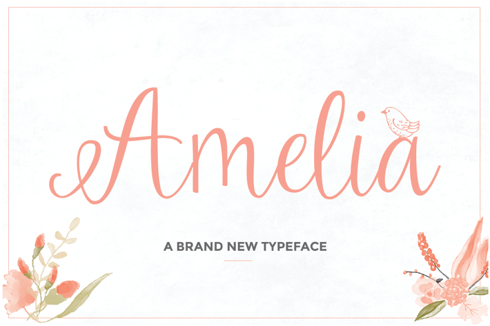 Amelia Script