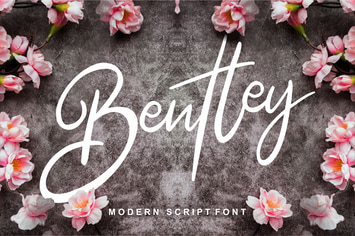 Bentley | Modern Script Font