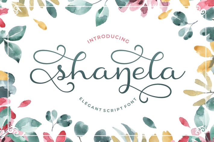 Shanela - Romantic Modern Script Font