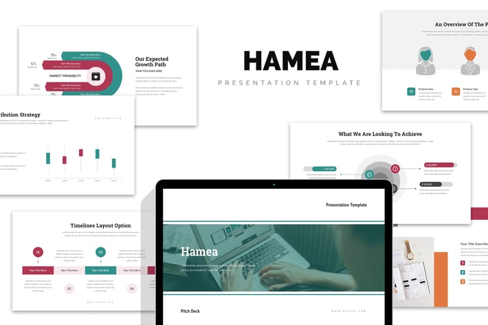 Hamea : Startup Business Plan Pitch Powerpoint