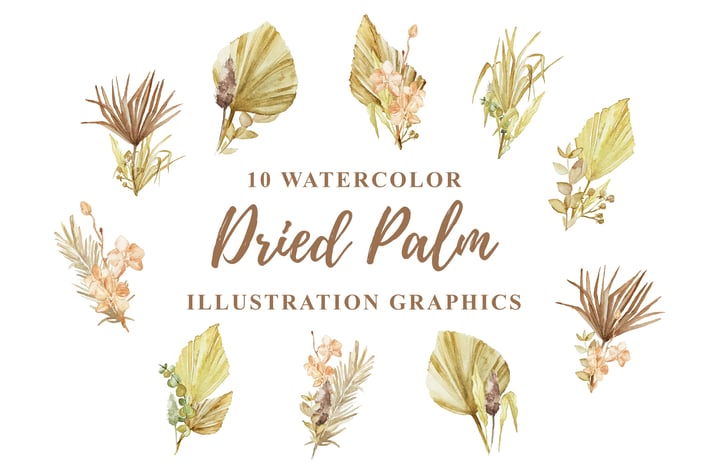 10 Watercolor Dried Palm Illustration Graphics
