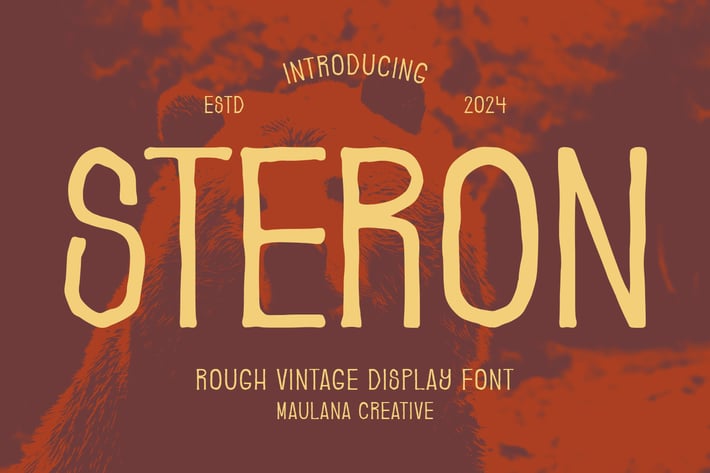 Steron Rough Vintage Display Font