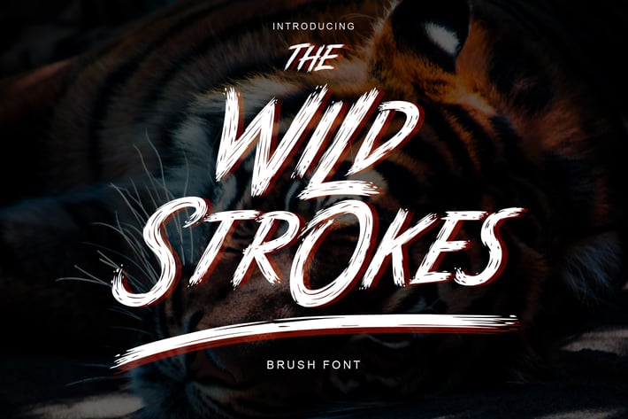 The Wild Strokes