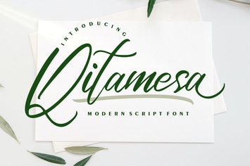Qitamesa | Modern Script Font