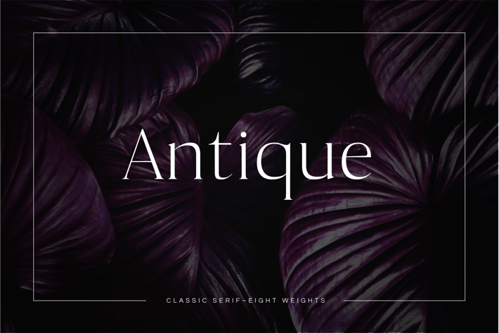 Antique - Luxury Serif Typeface