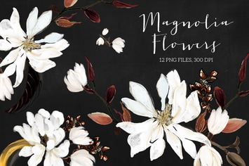 Magnolia Flowers
