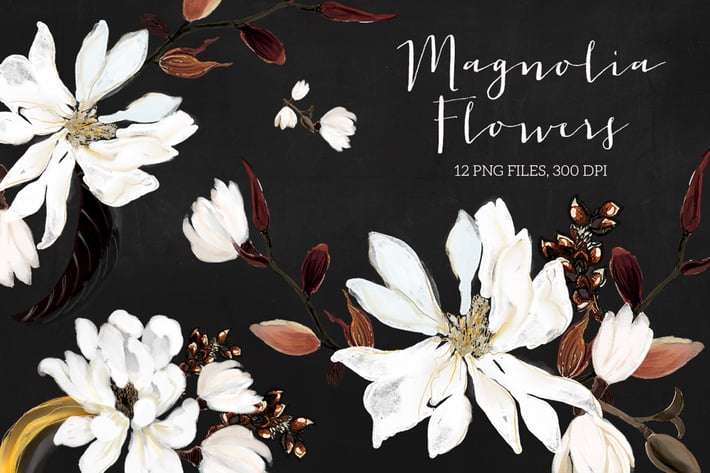 Magnolia Flowers