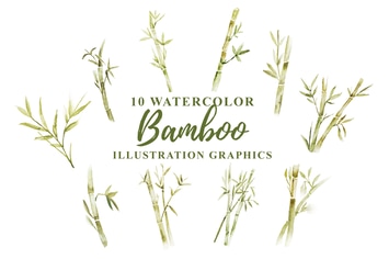 10 Watercolor Bamboo Illustration Graphics