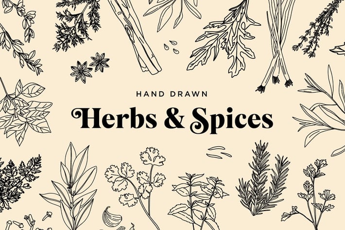 Hand Drawn Herbs & Spices
