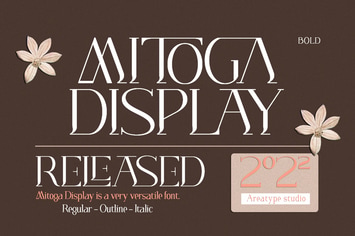 Mitoga display