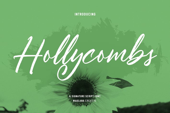 Hollycombs Script Font