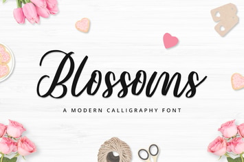 Modern Calligraphy Font