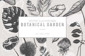 Botanical Garden Illustrated Graphics