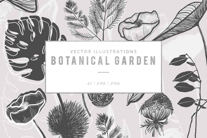 Botanical Garden Illustrated Graphics