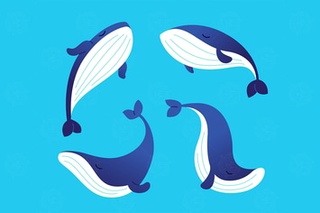 Whale - modern vector set of flat illustrations.