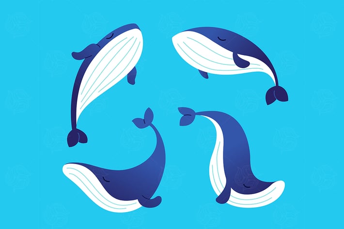 Whale - modern vector set of flat illustrations.