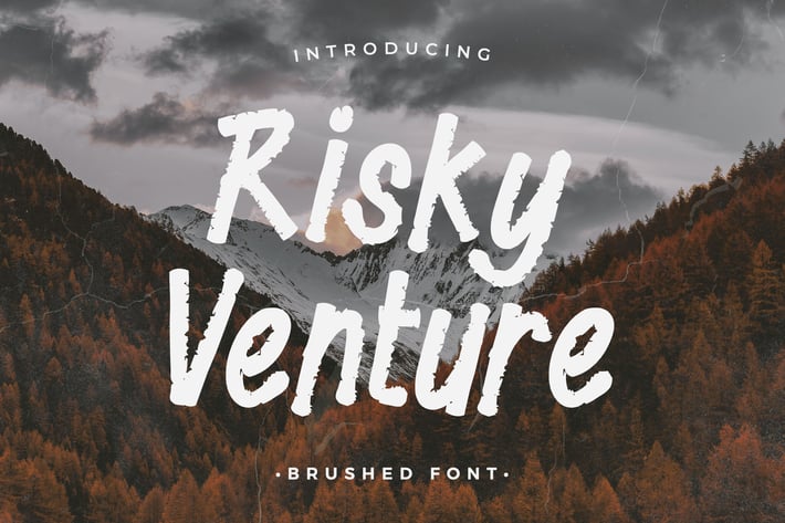 Risky Venture – Display Brush