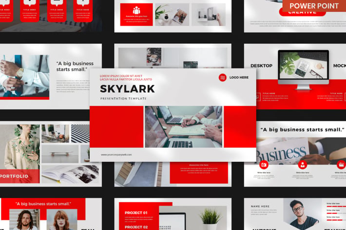 Skylark Business - PowerPoint