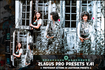 PRO Presets - V 41 - Photoshop & Lightroom