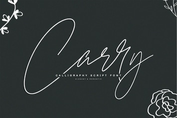 Carry | Modern Signature Font