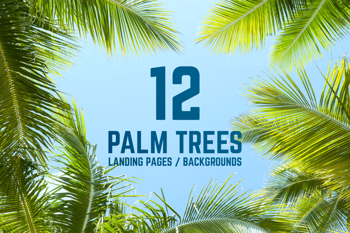 12 Palm Trees Against Blue Sky Backgrounds