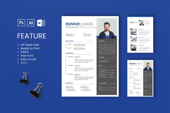 Professional CV And Resume Template Ronnie