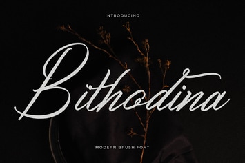 Bithodina Modern Brush Font