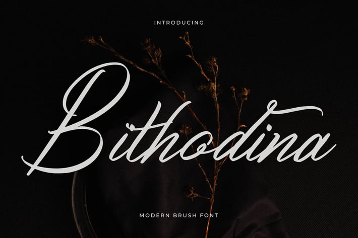 Bithodina Modern Brush Font