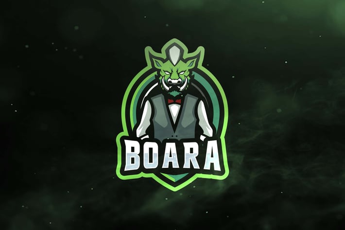 Boara Sport and Esports Logos