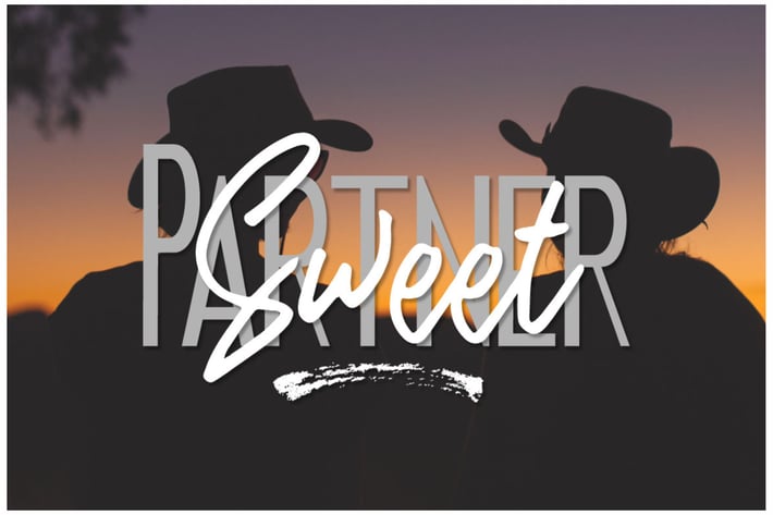 Sweet Partner Brush