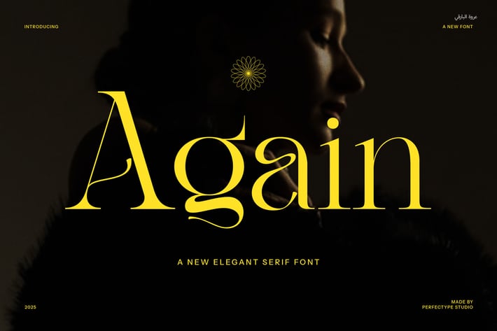 Again Modern Serif Font