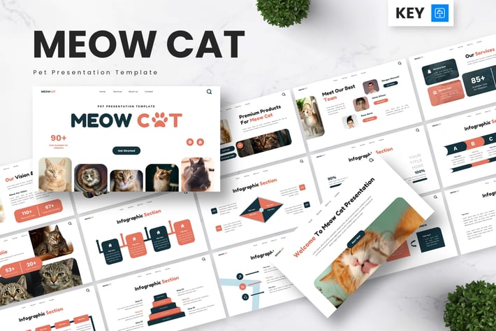Meow Cat - Pet Keynote Templates