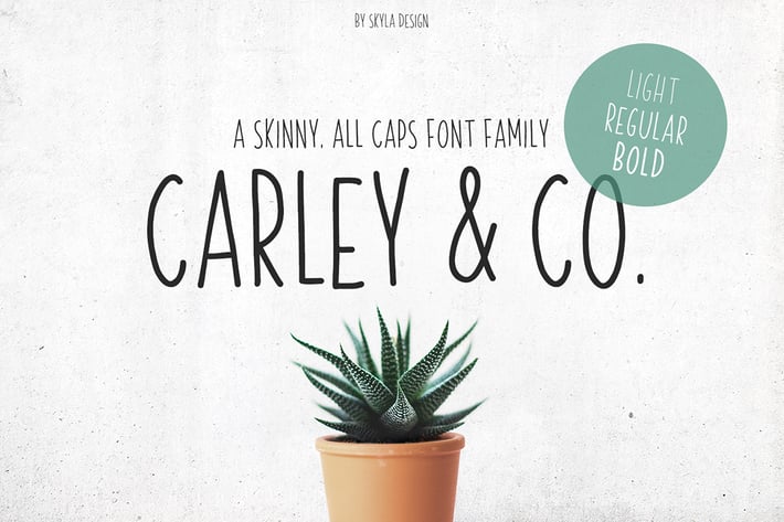 Skinny Font family Carley & Co.