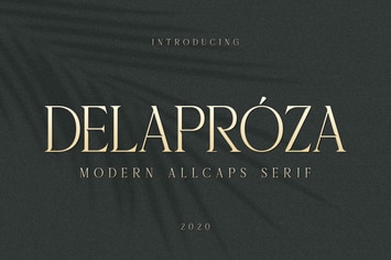 Delaproza - Modern Serif