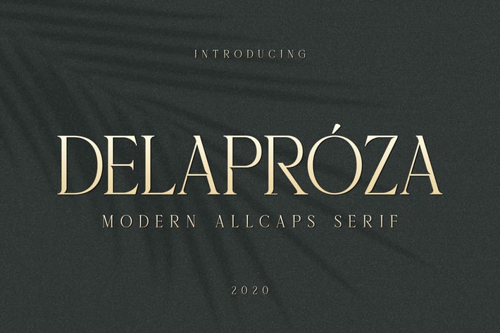 Delaproza - Modern Serif