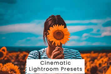 Cinematic Lightroom Presets
