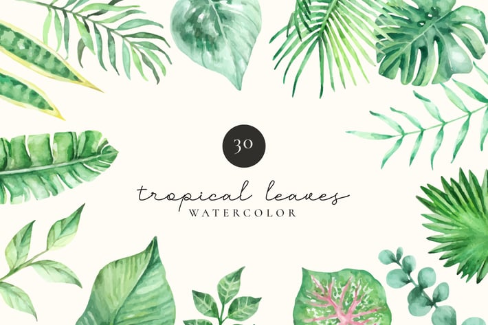 Tropical Leaves and Foliage Watercolor Set